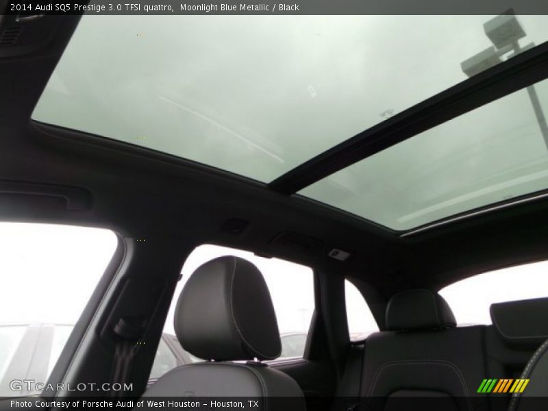 Moonlight Blue Metallic / Black 2014 Audi SQ5 Prestige 3.0 TFSI quattro