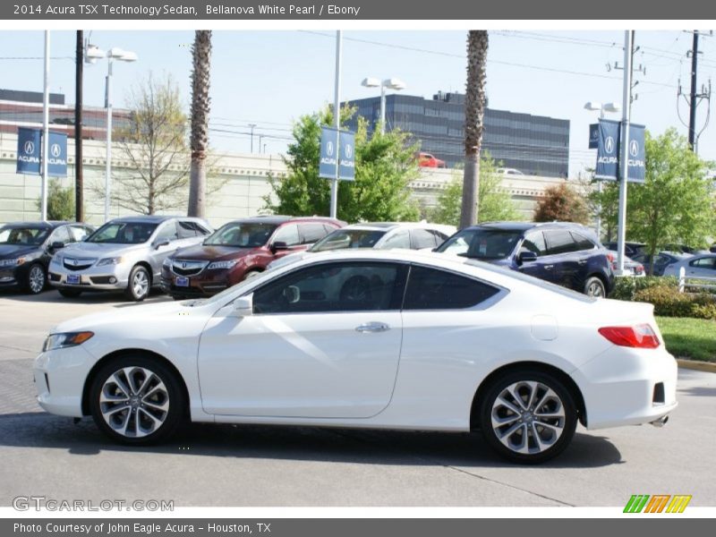 Bellanova White Pearl / Ebony 2014 Acura TSX Technology Sedan