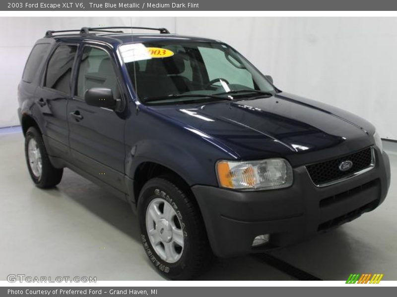 True Blue Metallic / Medium Dark Flint 2003 Ford Escape XLT V6