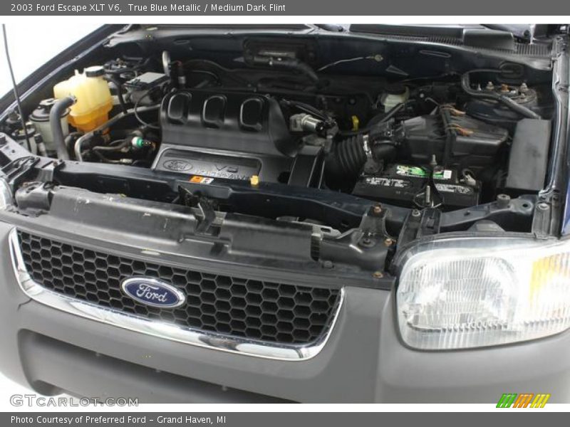 True Blue Metallic / Medium Dark Flint 2003 Ford Escape XLT V6