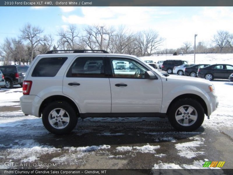 Oxford White / Camel 2010 Ford Escape XLT 4WD
