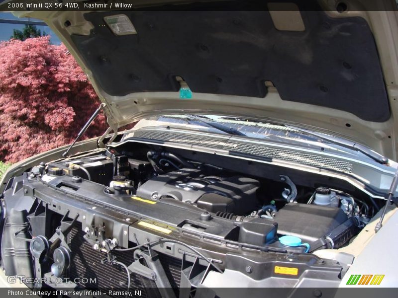 Kashmir / Willow 2006 Infiniti QX 56 4WD