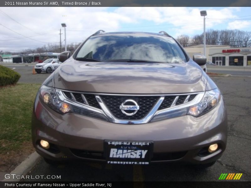 Tinted Bronze / Black 2011 Nissan Murano SV AWD