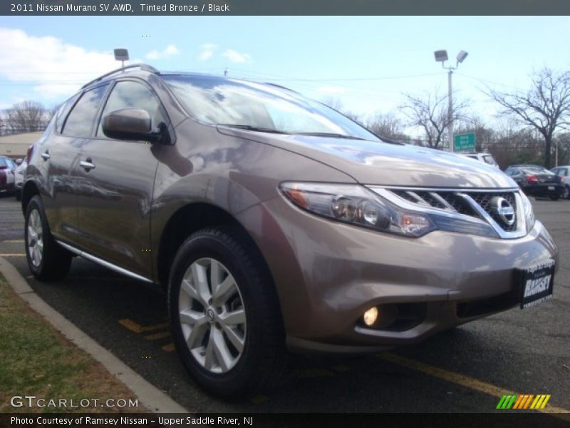Tinted Bronze / Black 2011 Nissan Murano SV AWD