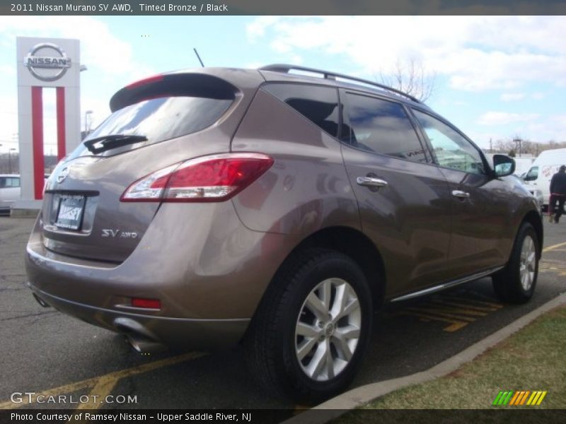 Tinted Bronze / Black 2011 Nissan Murano SV AWD