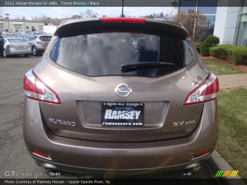 Tinted Bronze / Black 2011 Nissan Murano SV AWD