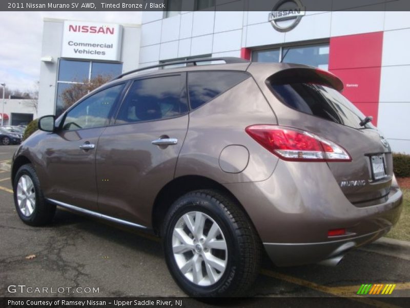 Tinted Bronze / Black 2011 Nissan Murano SV AWD