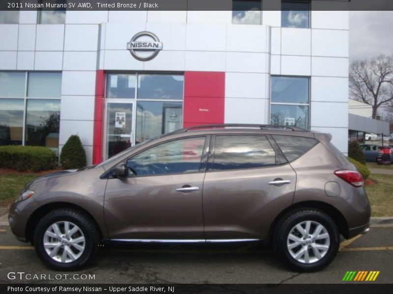 Tinted Bronze / Black 2011 Nissan Murano SV AWD