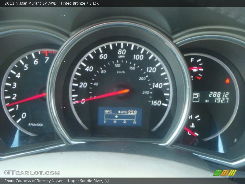 Tinted Bronze / Black 2011 Nissan Murano SV AWD