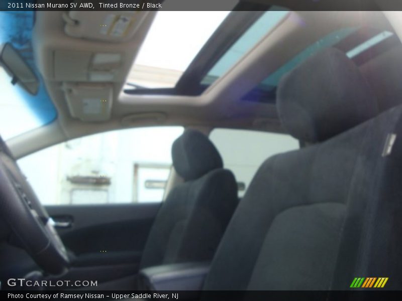 Tinted Bronze / Black 2011 Nissan Murano SV AWD