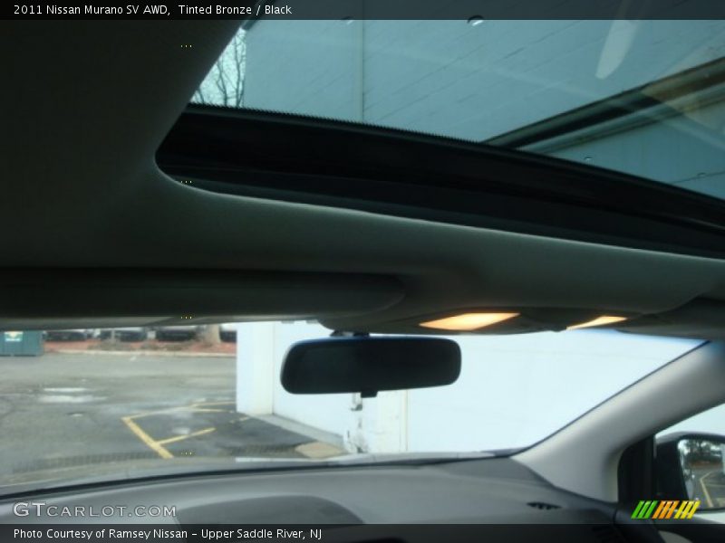 Tinted Bronze / Black 2011 Nissan Murano SV AWD