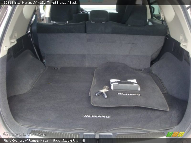 Tinted Bronze / Black 2011 Nissan Murano SV AWD