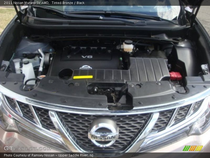 Tinted Bronze / Black 2011 Nissan Murano SV AWD