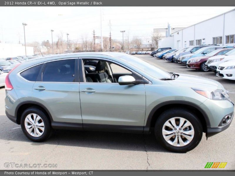 Opal Sage Metallic / Black 2012 Honda CR-V EX-L 4WD