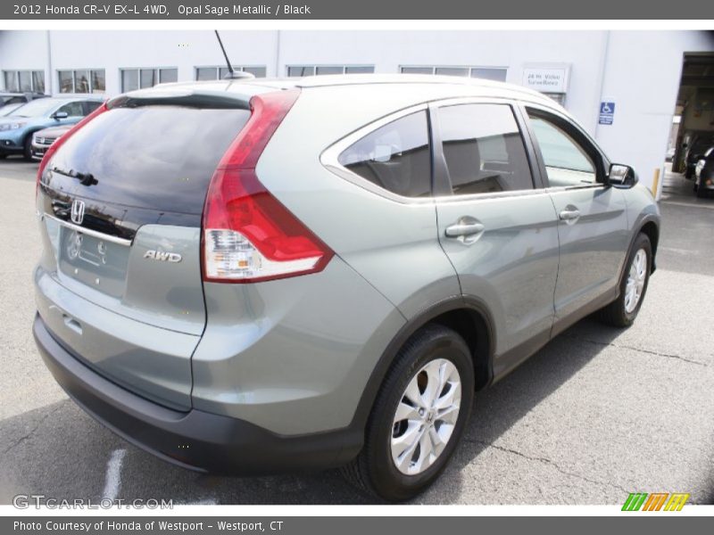 Opal Sage Metallic / Black 2012 Honda CR-V EX-L 4WD