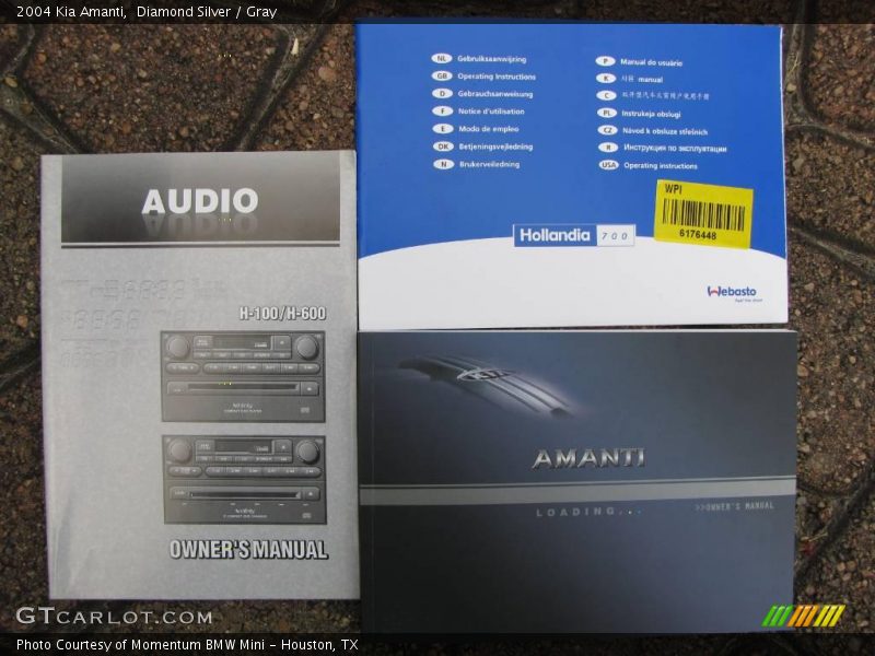 Diamond Silver / Gray 2004 Kia Amanti