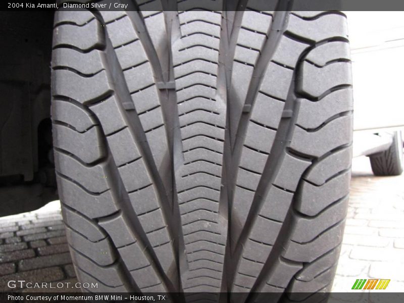 Diamond Silver / Gray 2004 Kia Amanti