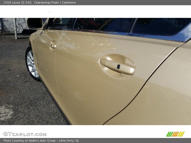 Chardonnay Pearl / Cashmere 2006 Lexus GS 300