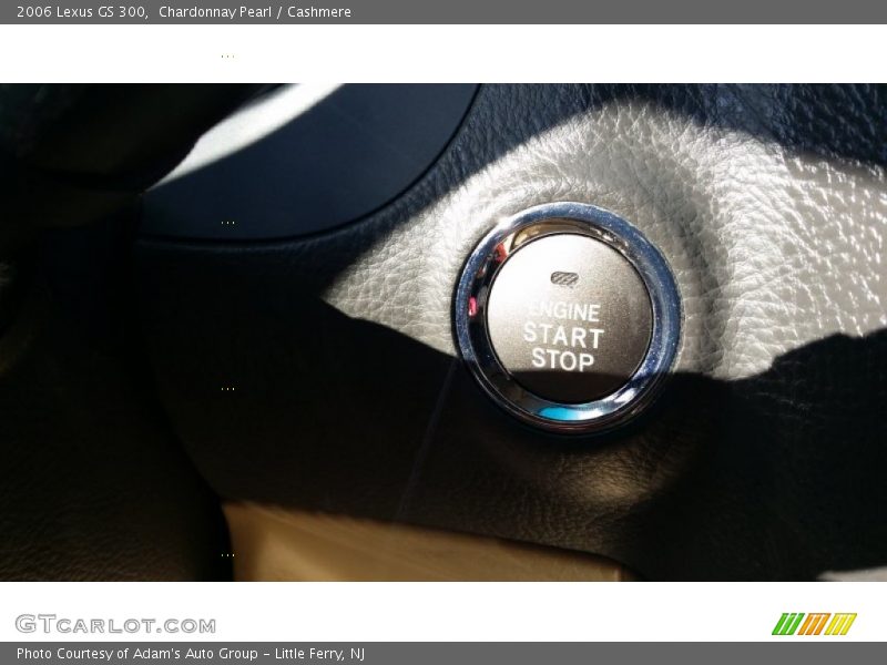 Chardonnay Pearl / Cashmere 2006 Lexus GS 300