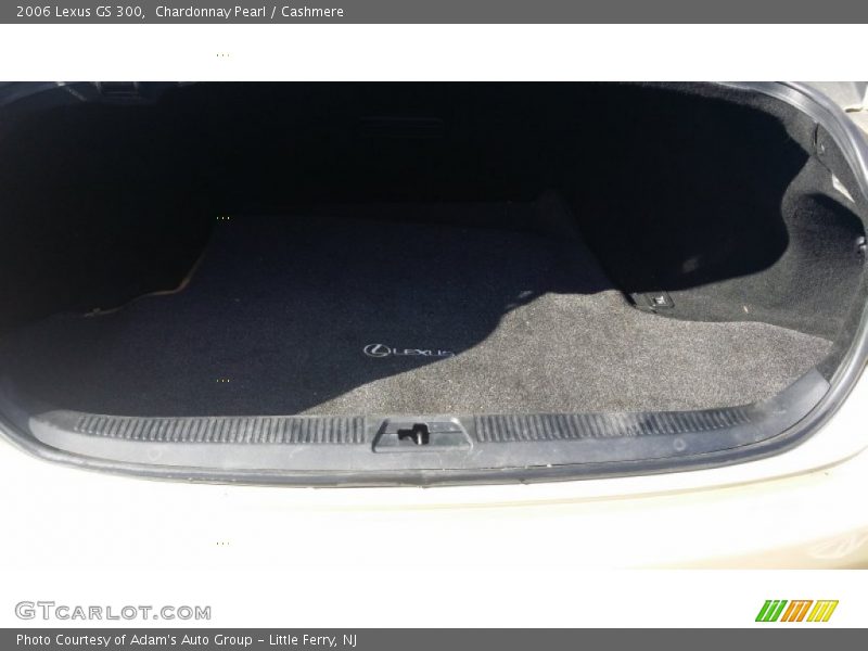 Chardonnay Pearl / Cashmere 2006 Lexus GS 300