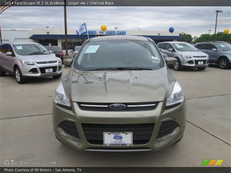 Ginger Ale / Charcoal Black 2014 Ford Escape SE 2.0L EcoBoost
