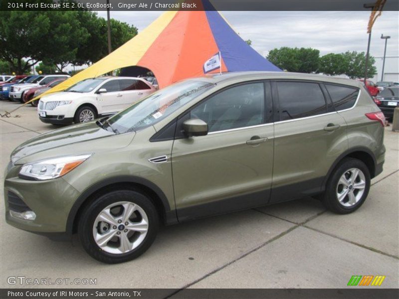 Ginger Ale / Charcoal Black 2014 Ford Escape SE 2.0L EcoBoost