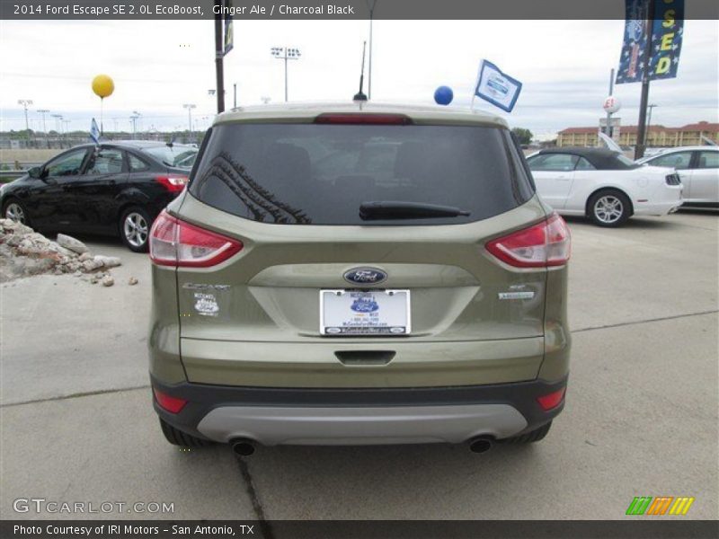 Ginger Ale / Charcoal Black 2014 Ford Escape SE 2.0L EcoBoost