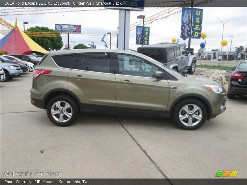 Ginger Ale / Charcoal Black 2014 Ford Escape SE 2.0L EcoBoost