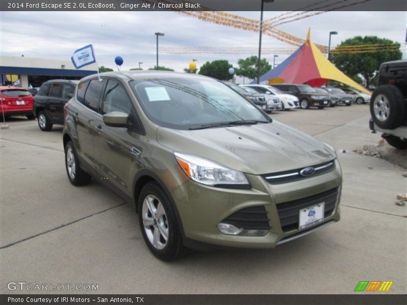 Ginger Ale / Charcoal Black 2014 Ford Escape SE 2.0L EcoBoost