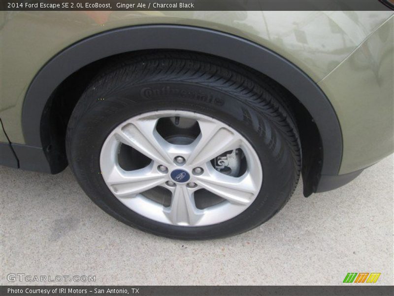 Ginger Ale / Charcoal Black 2014 Ford Escape SE 2.0L EcoBoost