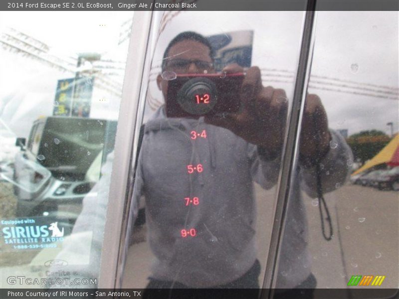 Ginger Ale / Charcoal Black 2014 Ford Escape SE 2.0L EcoBoost