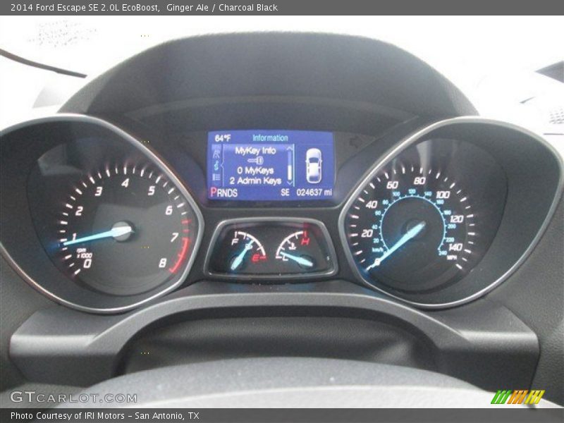 Ginger Ale / Charcoal Black 2014 Ford Escape SE 2.0L EcoBoost