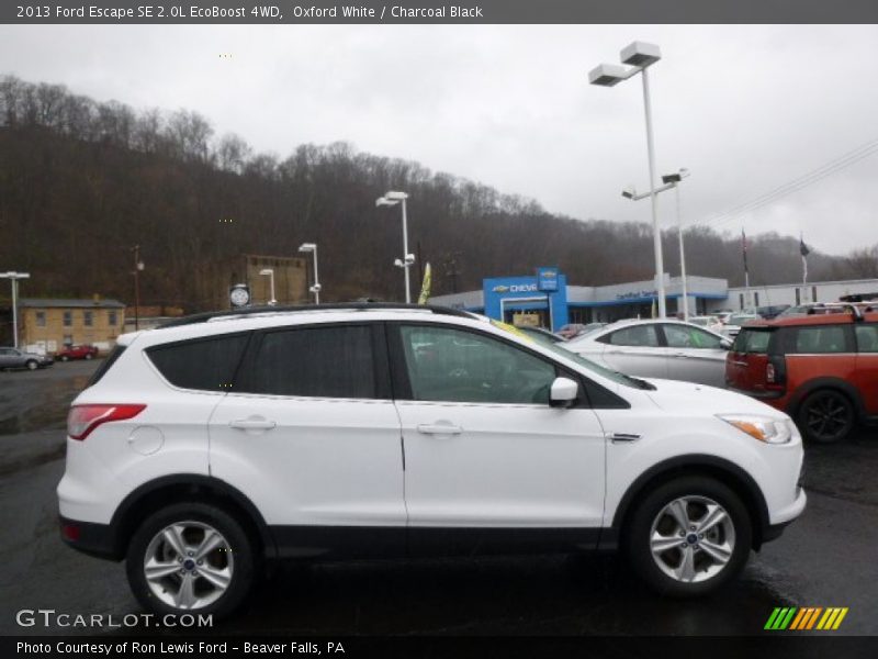 Oxford White / Charcoal Black 2013 Ford Escape SE 2.0L EcoBoost 4WD