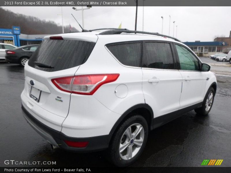 Oxford White / Charcoal Black 2013 Ford Escape SE 2.0L EcoBoost 4WD