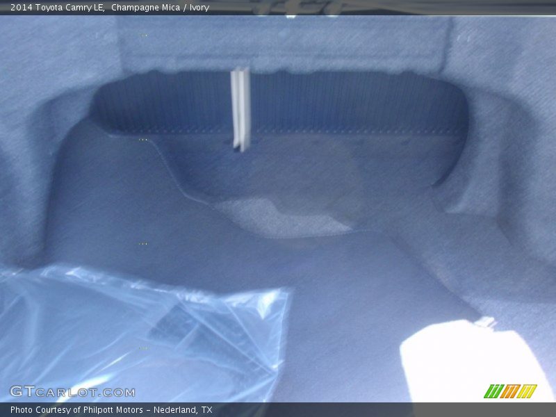 Champagne Mica / Ivory 2014 Toyota Camry LE