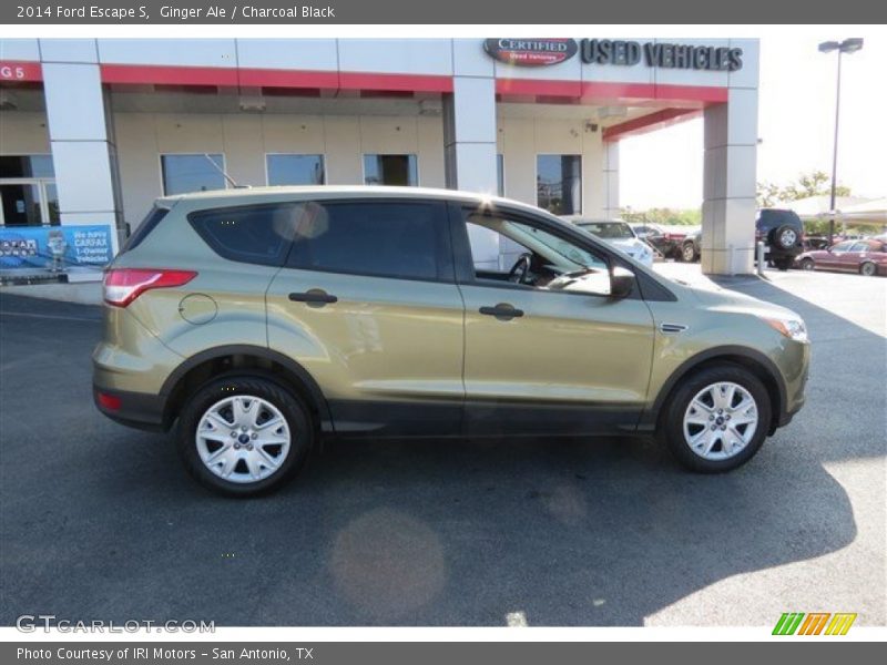 Ginger Ale / Charcoal Black 2014 Ford Escape S