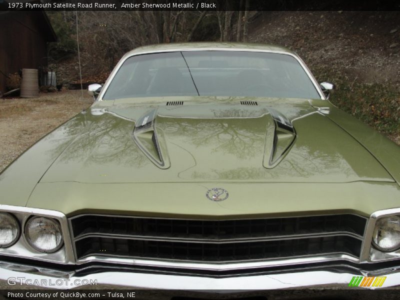 Amber Sherwood Metallic / Black 1973 Plymouth Satellite Road Runner