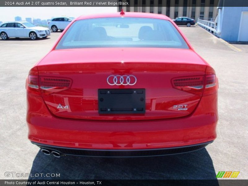 Brilliant Red / Velvet Beige/Black 2014 Audi A4 2.0T quattro Sedan