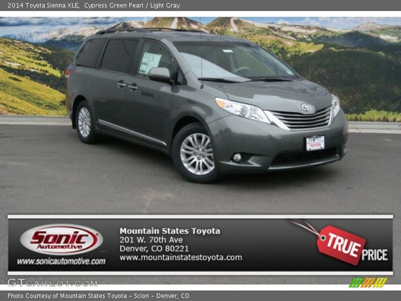 Cypress Green Pearl / Light Gray 2014 Toyota Sienna XLE