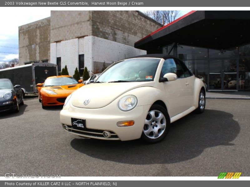 Harvest Moon Beige / Cream 2003 Volkswagen New Beetle GLS Convertible