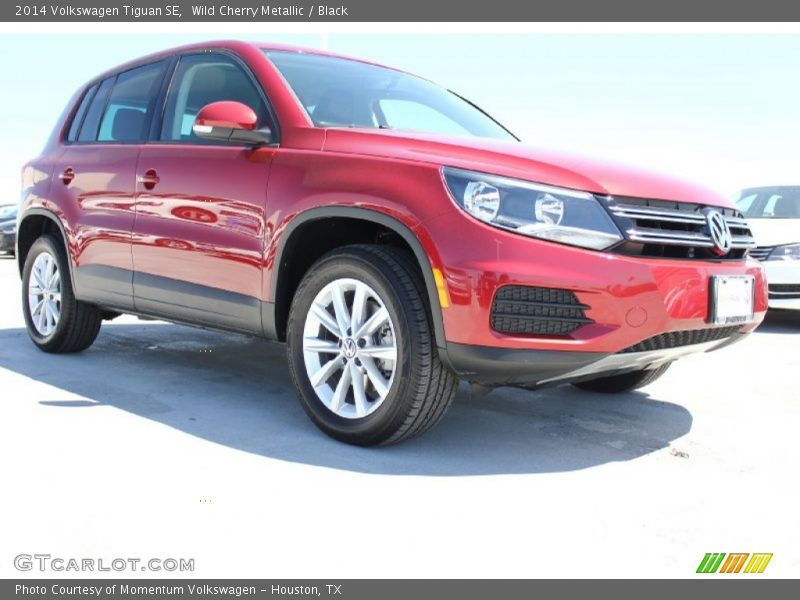 Wild Cherry Metallic / Black 2014 Volkswagen Tiguan SE