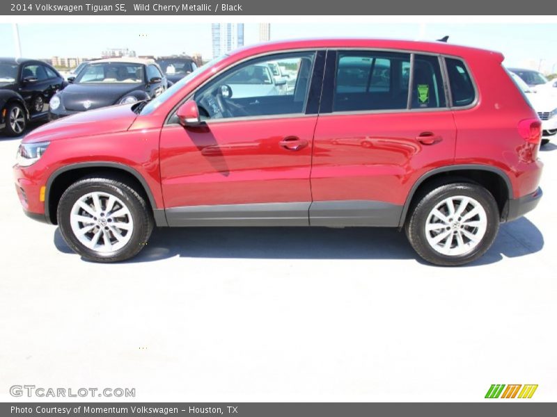 Wild Cherry Metallic / Black 2014 Volkswagen Tiguan SE