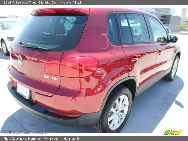 Wild Cherry Metallic / Black 2014 Volkswagen Tiguan SE