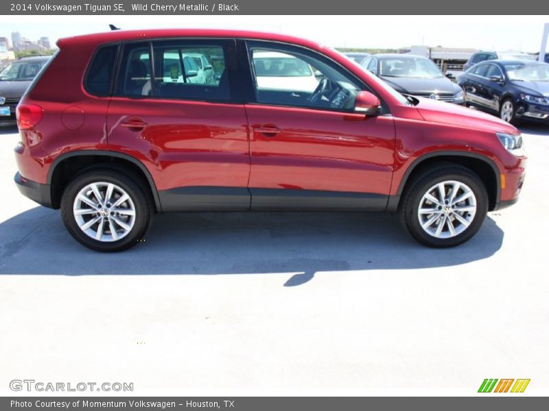 Wild Cherry Metallic / Black 2014 Volkswagen Tiguan SE