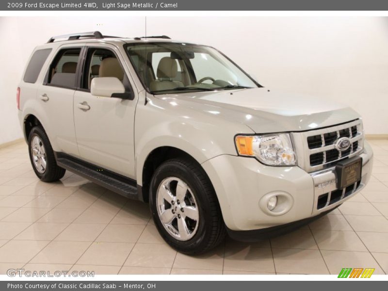 Light Sage Metallic / Camel 2009 Ford Escape Limited 4WD