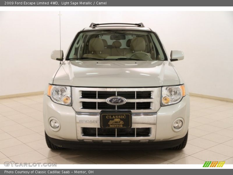 Light Sage Metallic / Camel 2009 Ford Escape Limited 4WD