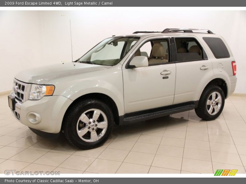 Light Sage Metallic / Camel 2009 Ford Escape Limited 4WD