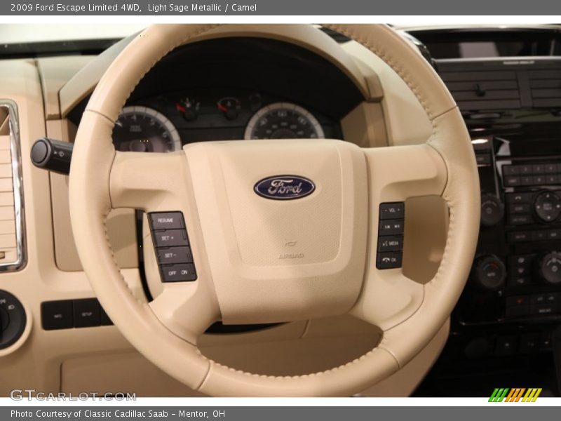 Light Sage Metallic / Camel 2009 Ford Escape Limited 4WD