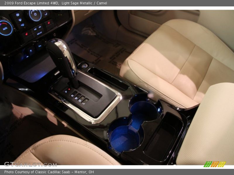 Light Sage Metallic / Camel 2009 Ford Escape Limited 4WD
