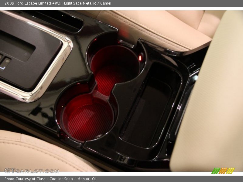 Light Sage Metallic / Camel 2009 Ford Escape Limited 4WD